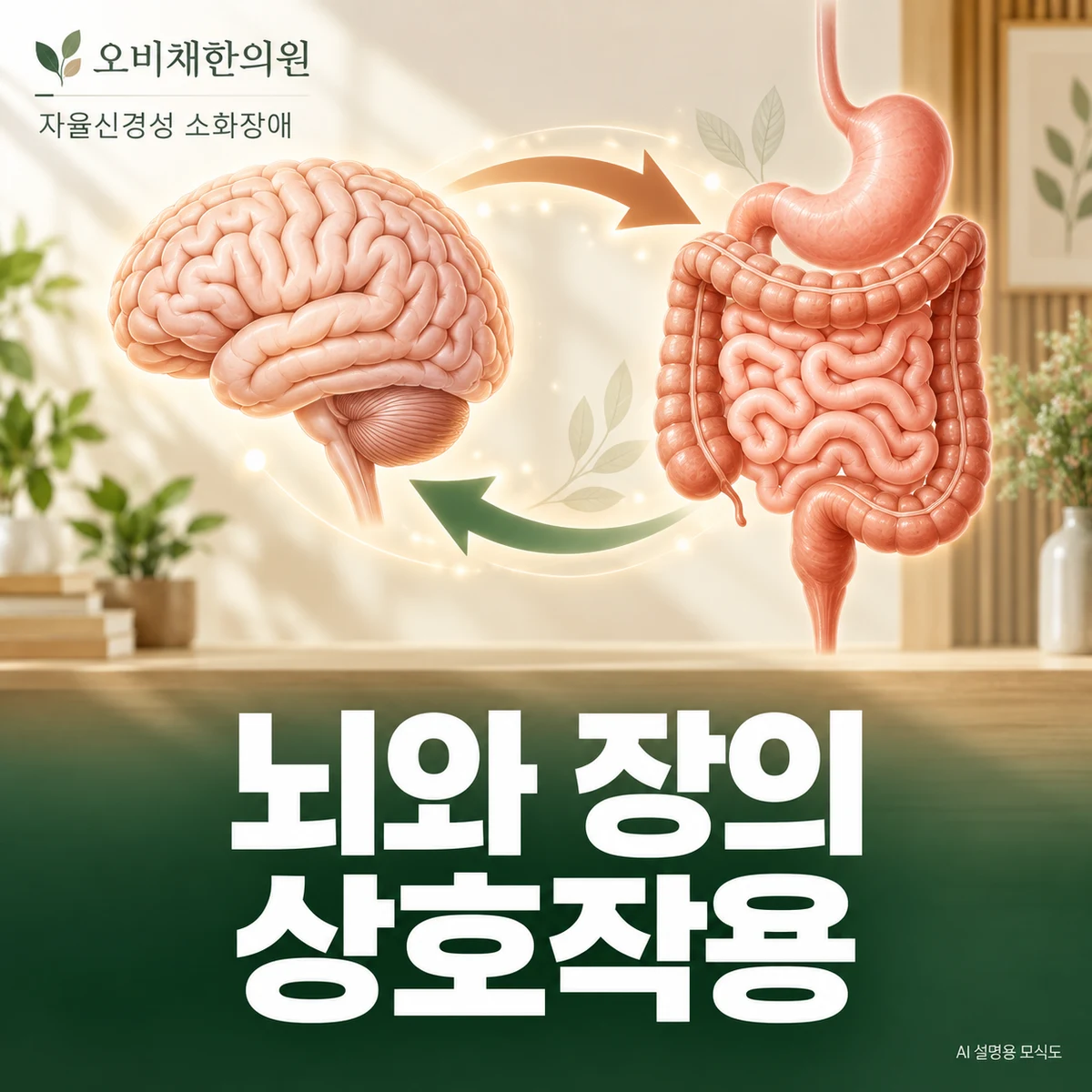 목동 자율신경성 소화장애 원인과 구분 · 장뇌 상호작용의 의미