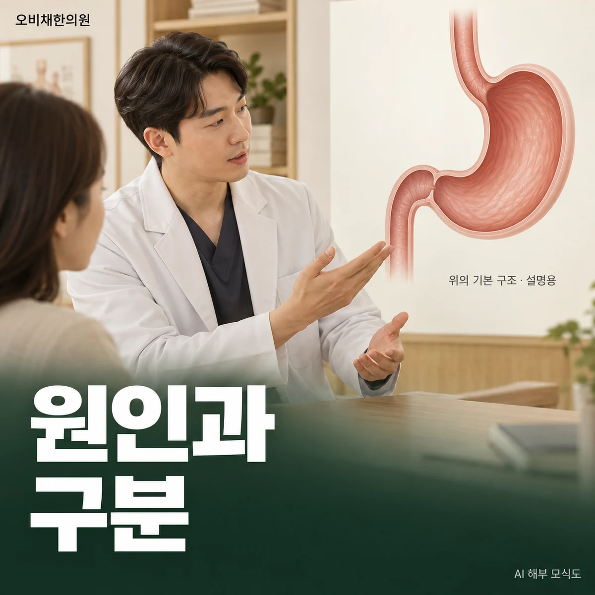 목동 담적병 원인과 구분 · 소화불량을 한 가지로 단정하지 않기