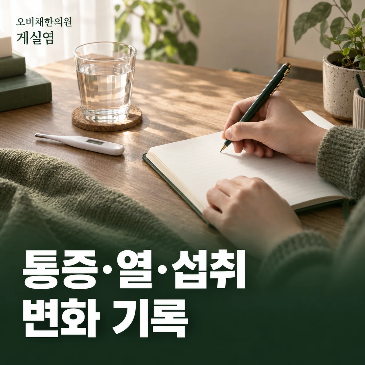 목동 게실염 경과·재진 · 통증·열·섭취 상태 비교