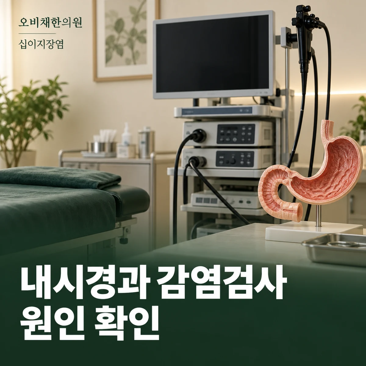 목동 십이지장염 진찰·검사 · 내시경과 원인 검사