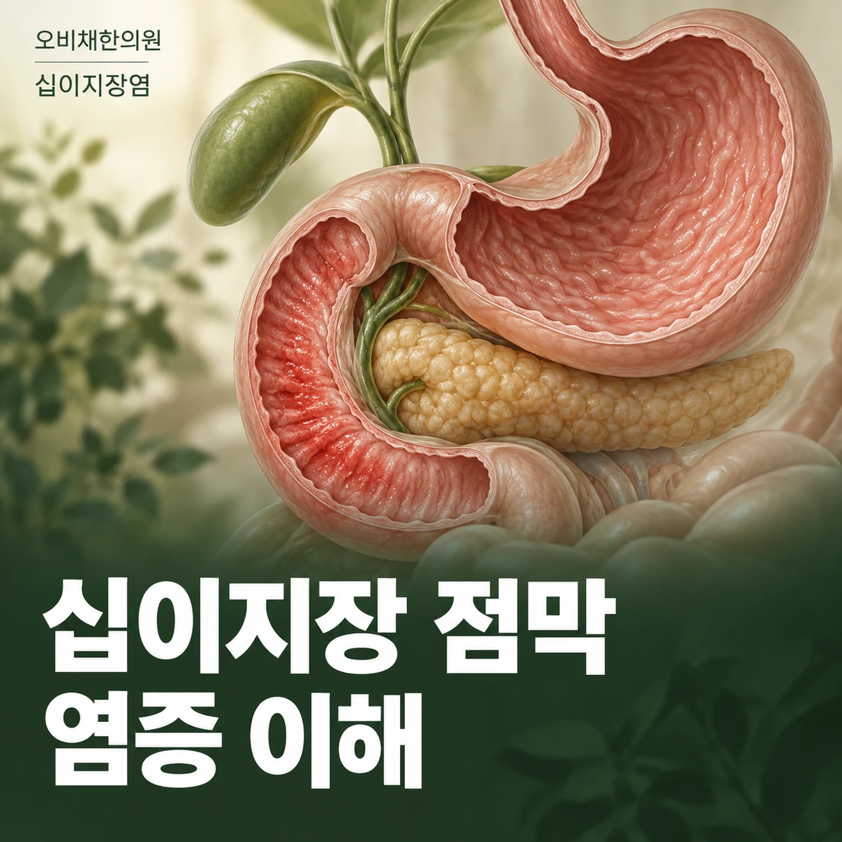 목동 십이지장염 원인과 구분 · 십이지장 점막의 염증