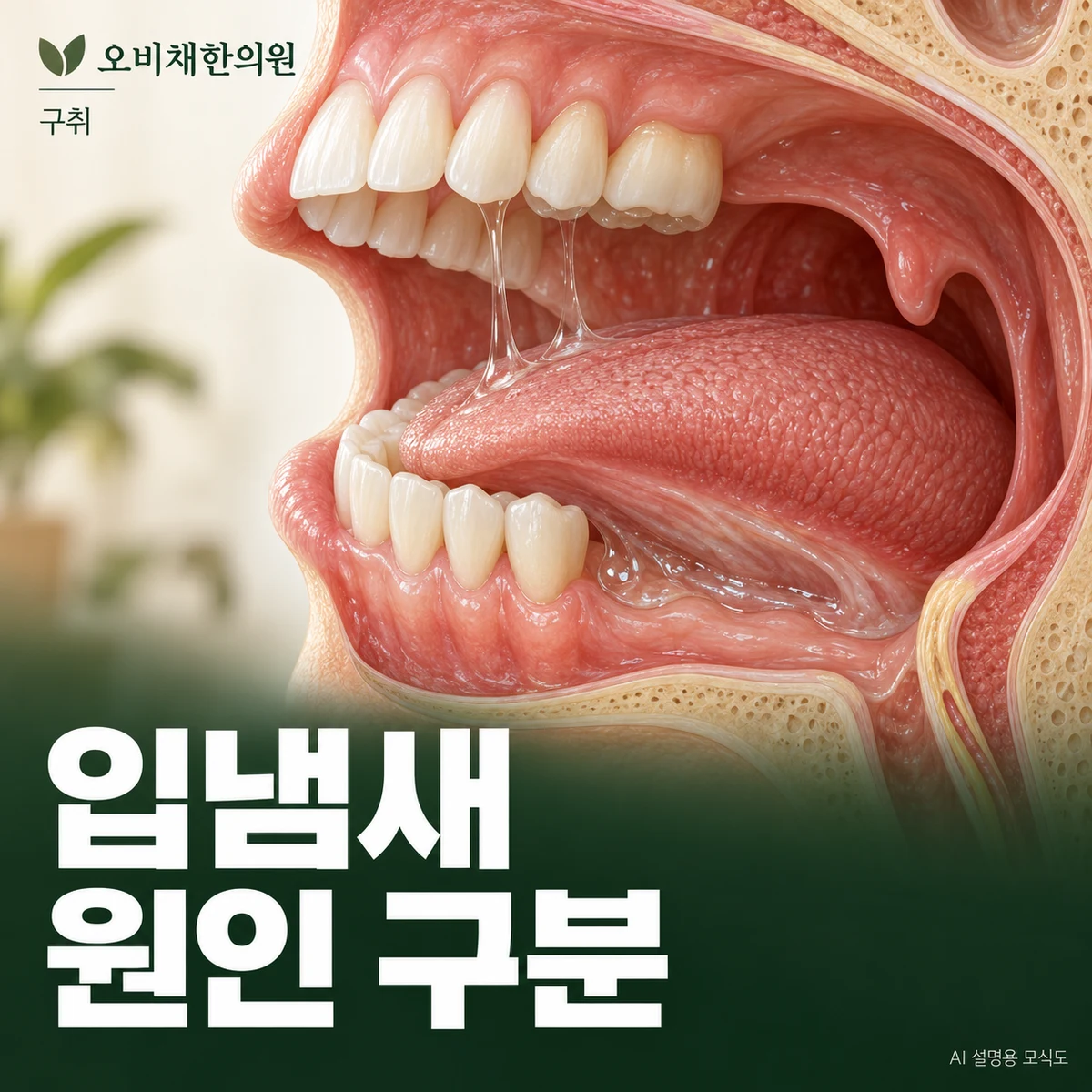 목동 구취 원인과 구분 · 구강·약물·동반 증상