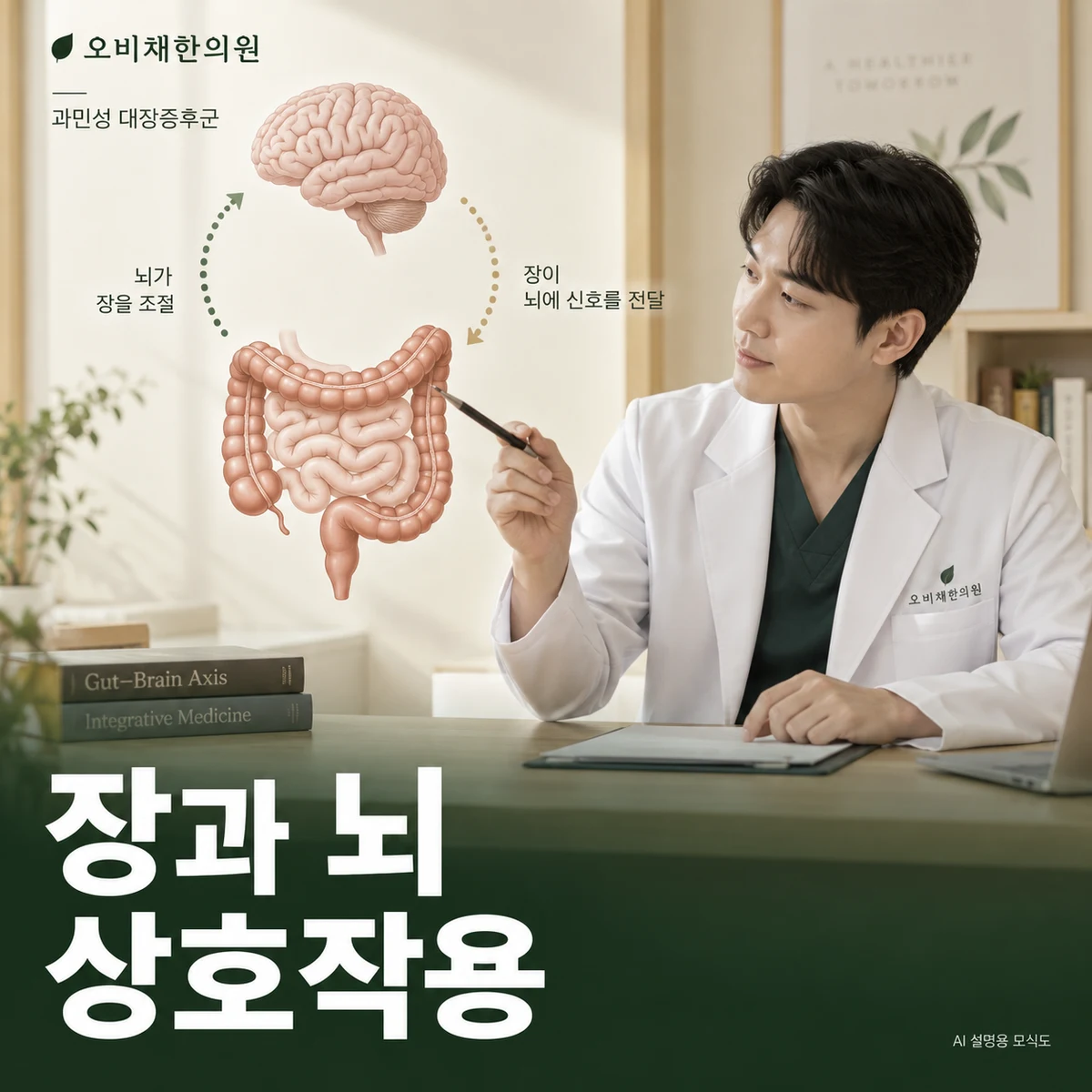 목동 과민성 대장증후군 원인과 구분 · 장과 뇌의 상호작용