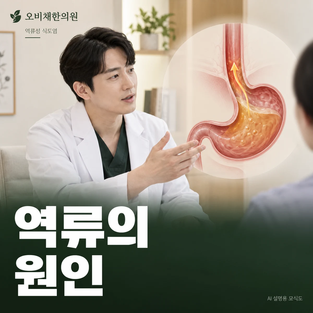목동 역류성 식도염 원인과 구분 · 위 내용물이 올라오는 이유