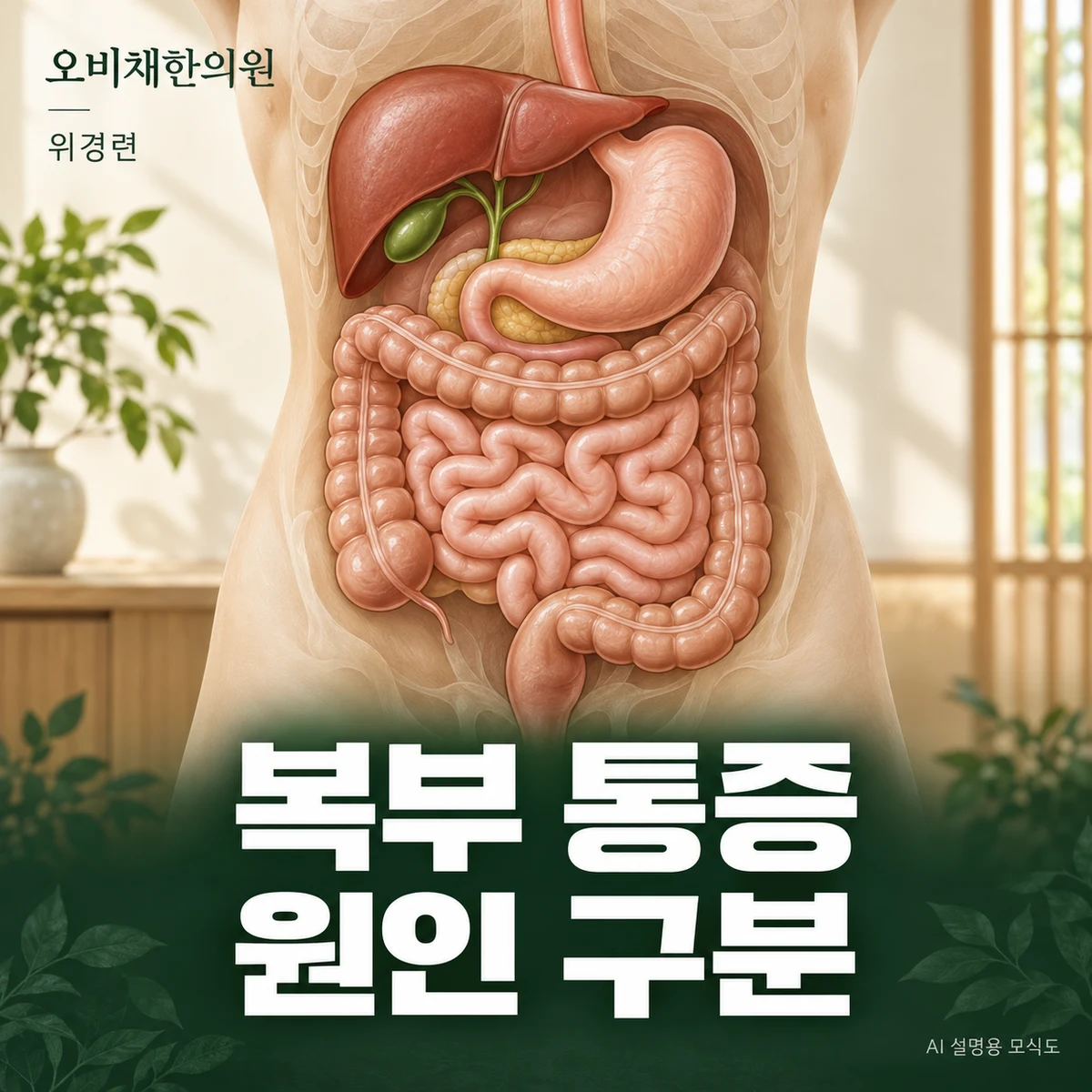 목동 위경련 원인과 구분 · 명치통증과 다른 복통