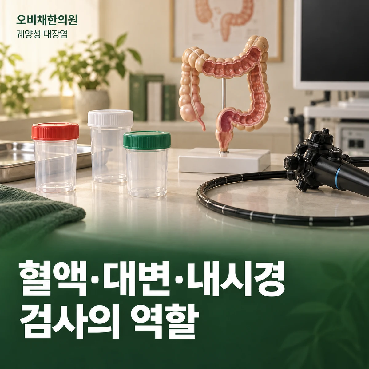 목동 궤양성 대장염 진찰·검사 · 혈액·대변·내시경의 역할