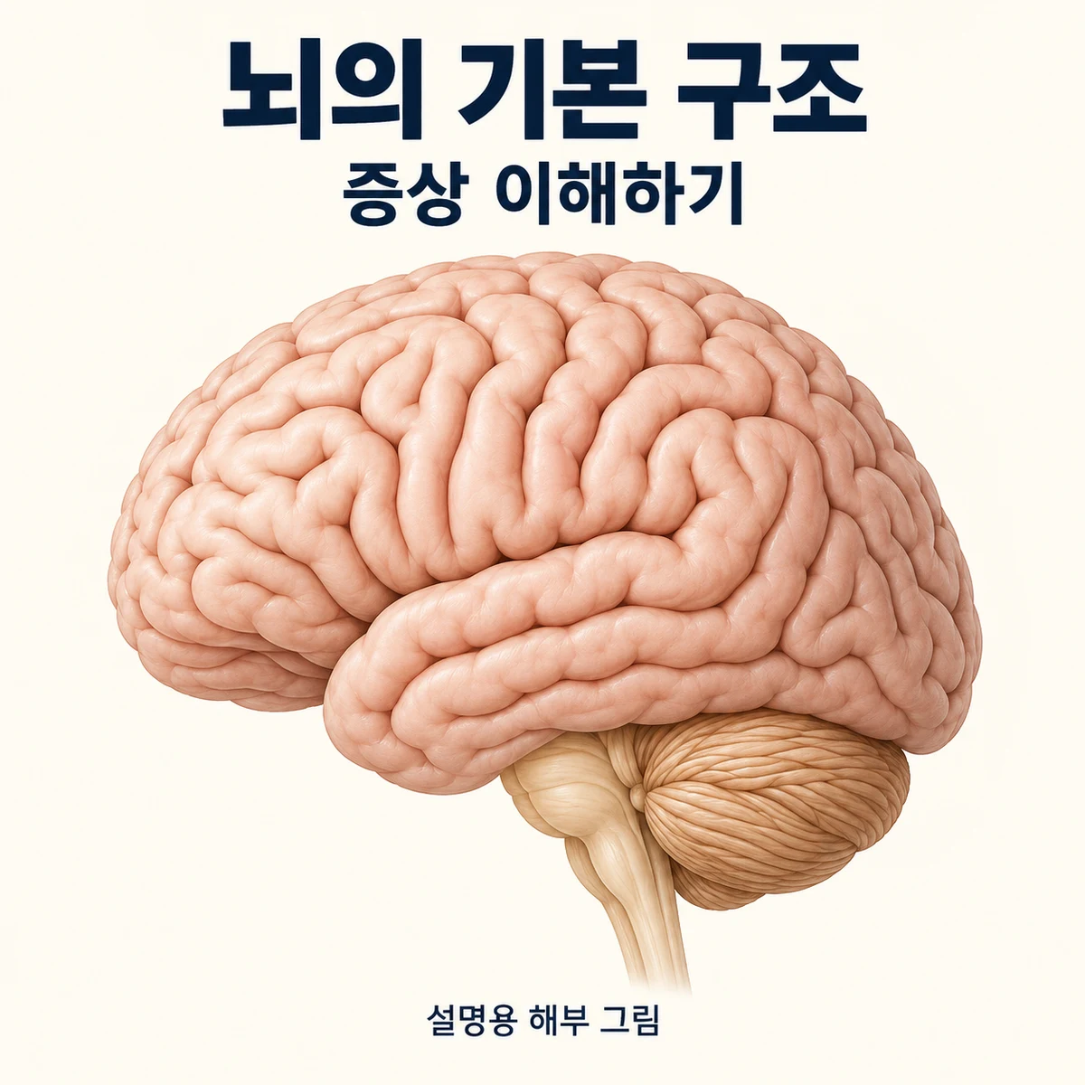 목동 두통 원인과 구분 · 반복 두통과 새로 생긴 두통 구분