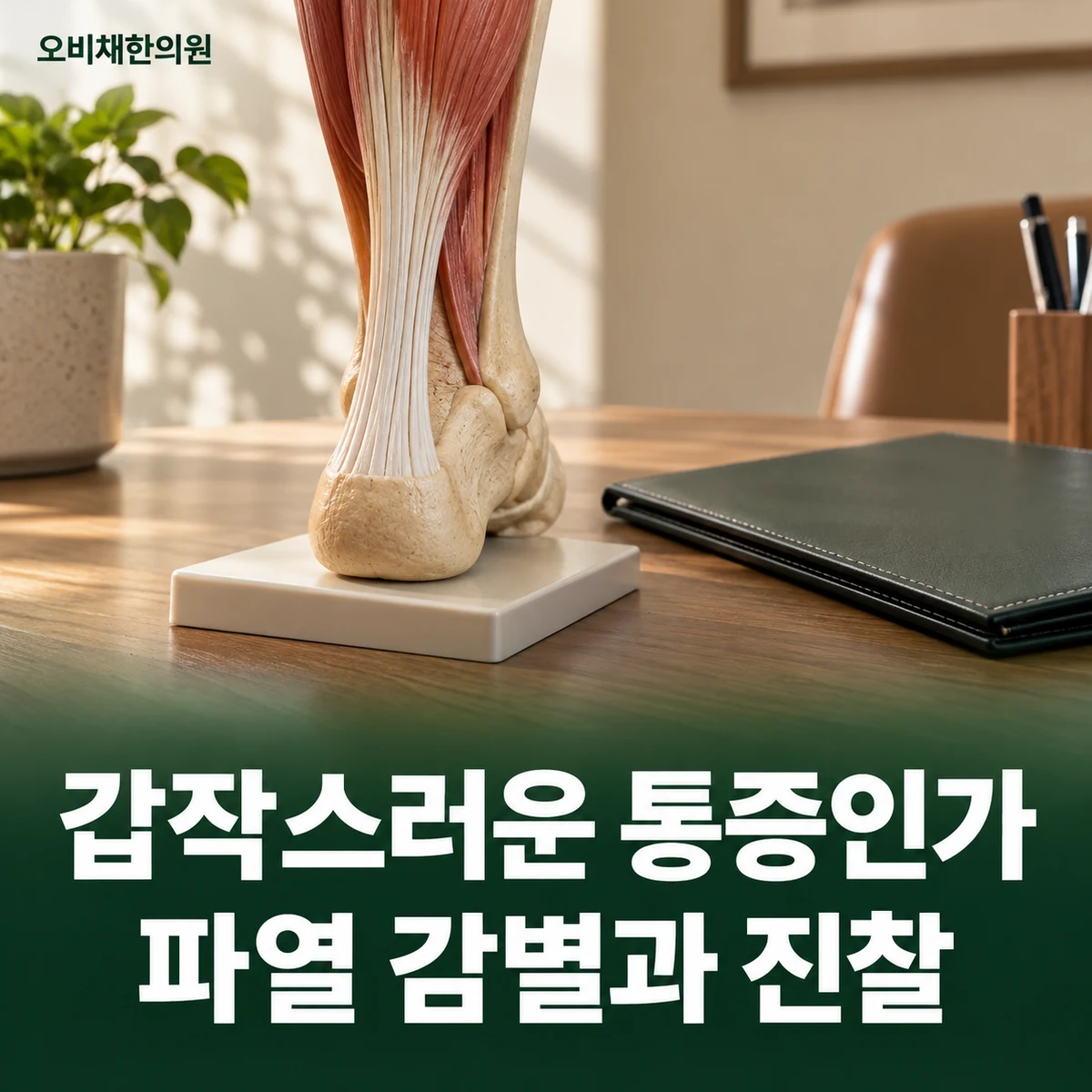목동 아킬레스건염 진찰·검사 · 파열 감별과 진찰