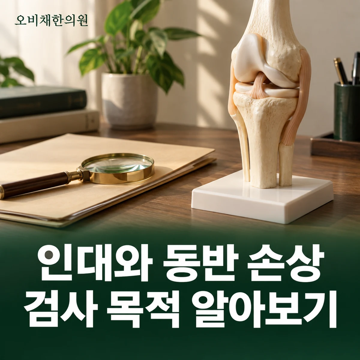 목동 십자인대파열 진찰·검사 · 동반 손상 평가