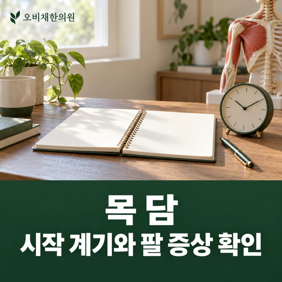 목동 목 담 진찰·검사 · 시작 계기와 팔 증상 확인