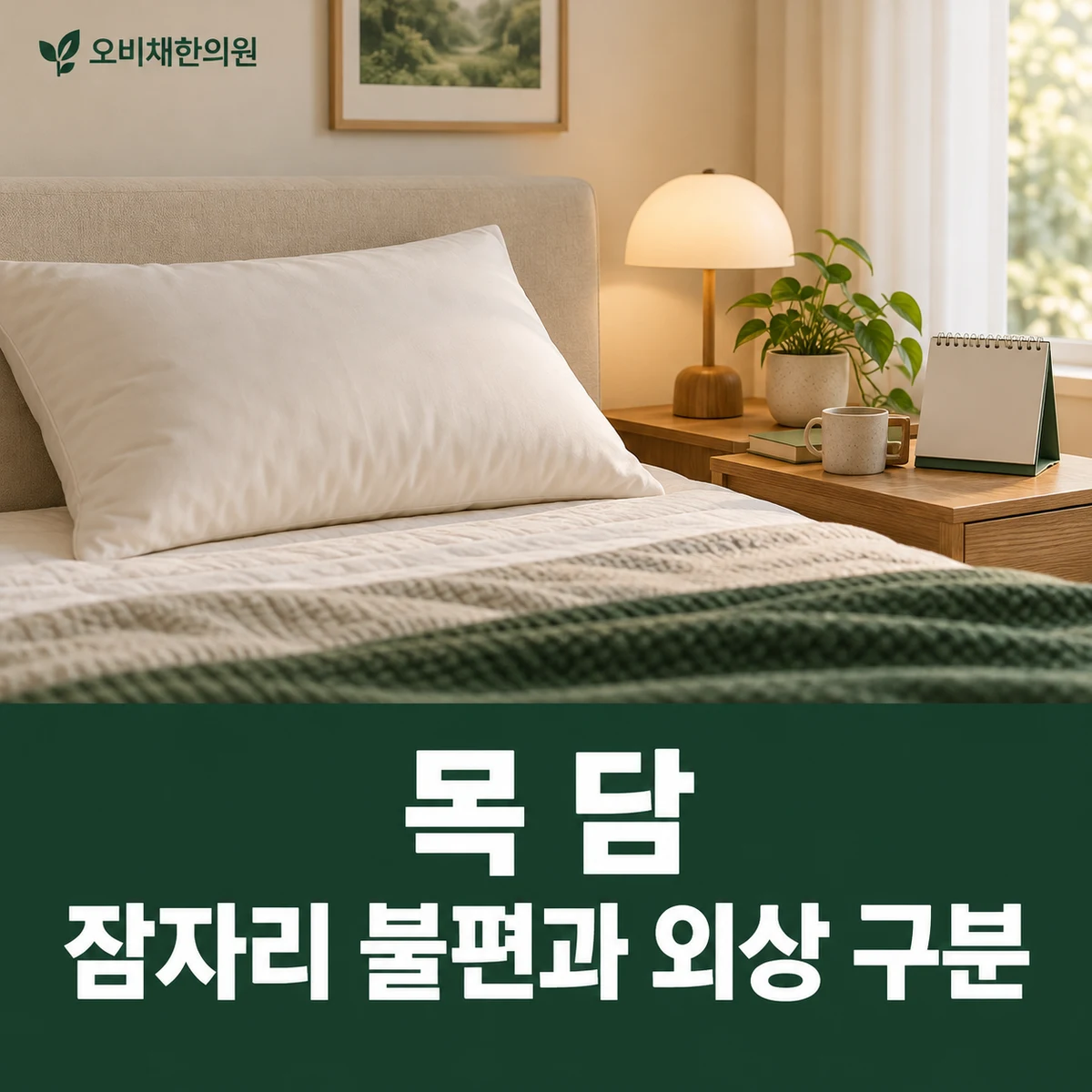 목동 목 담 원인과 구분 · 잠자리 불편과 외상 구분