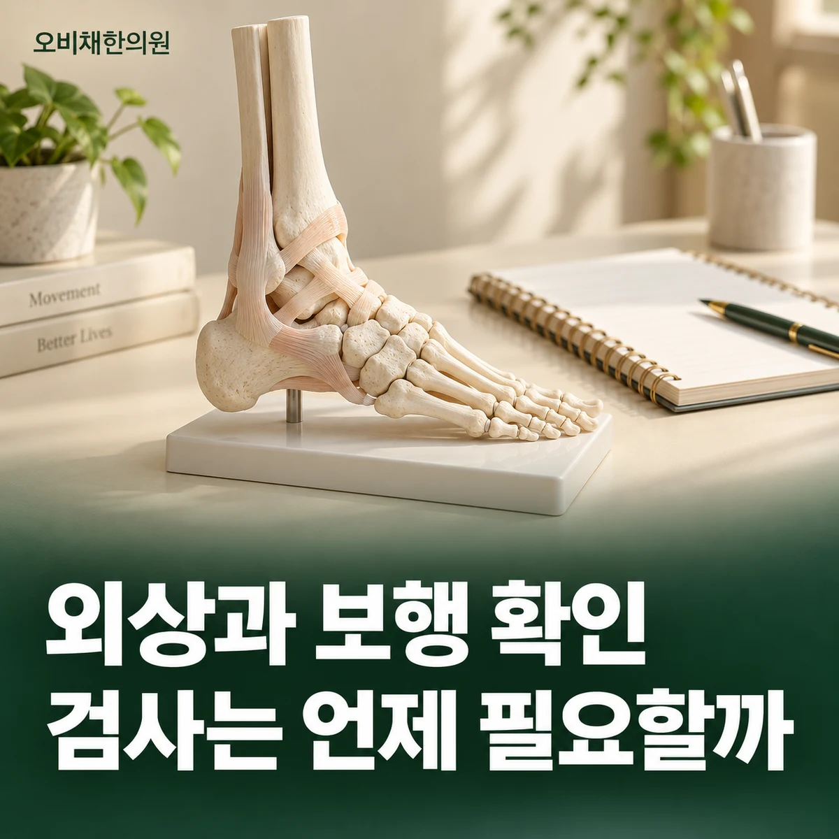 목동 발목통증 진찰·검사 · 외상과 검사 판단
