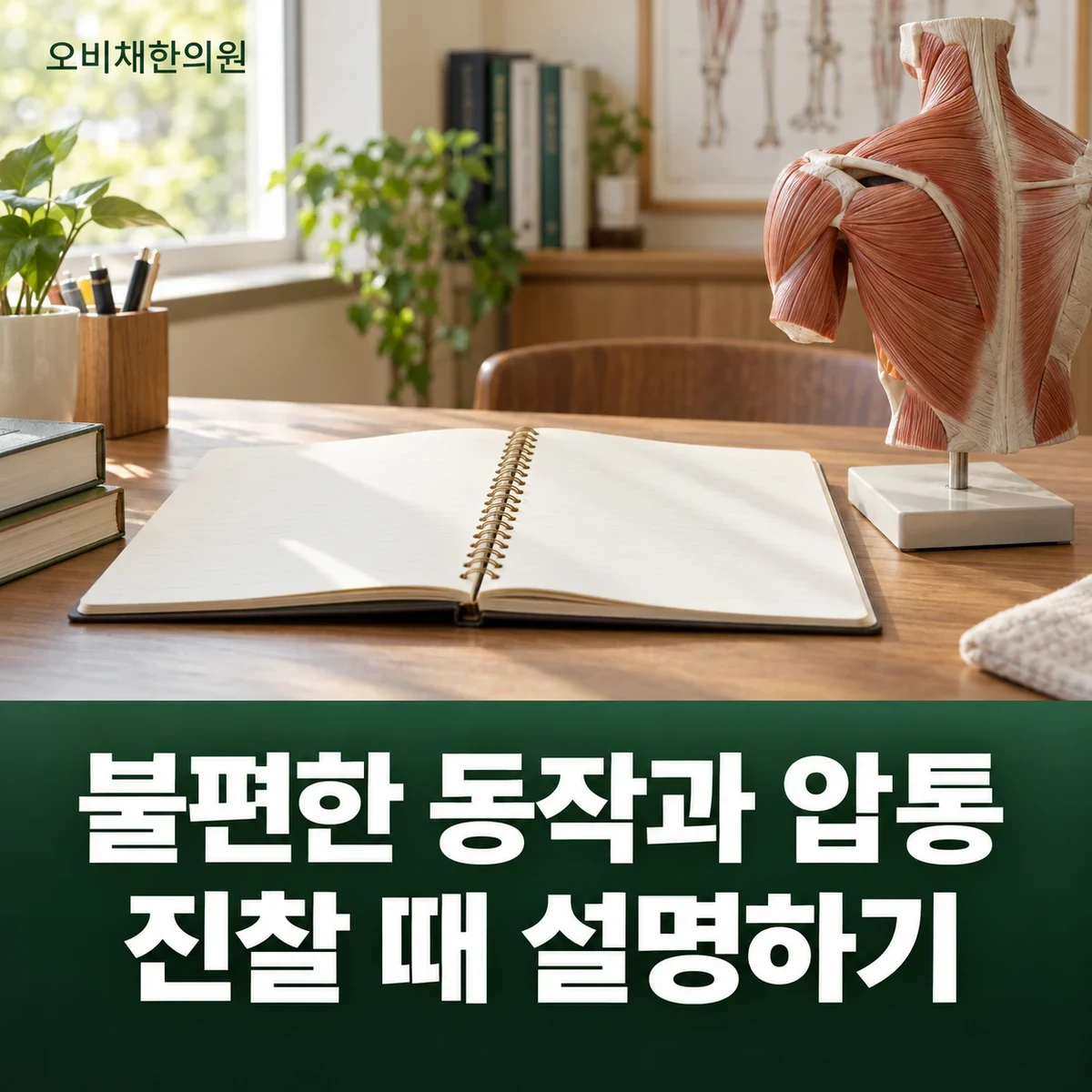 목동 팔근막통증 진찰·검사 · 신경·관절·혈관 원인 감별