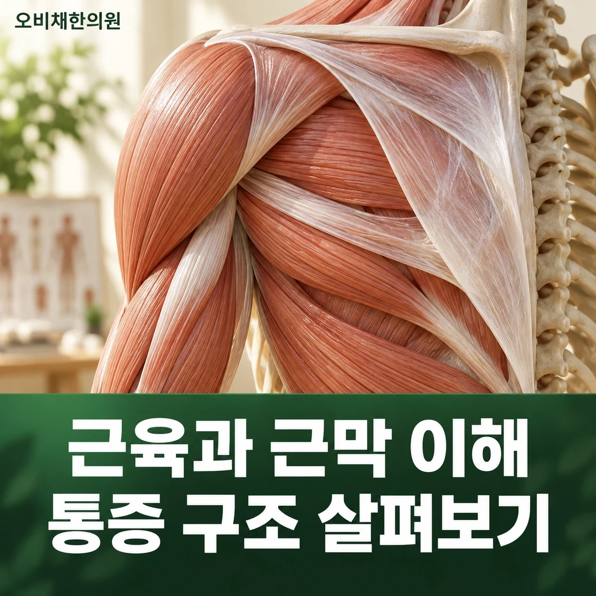 목동 팔근막통증 원인과 구분 · 근육·근막과 반복 부하