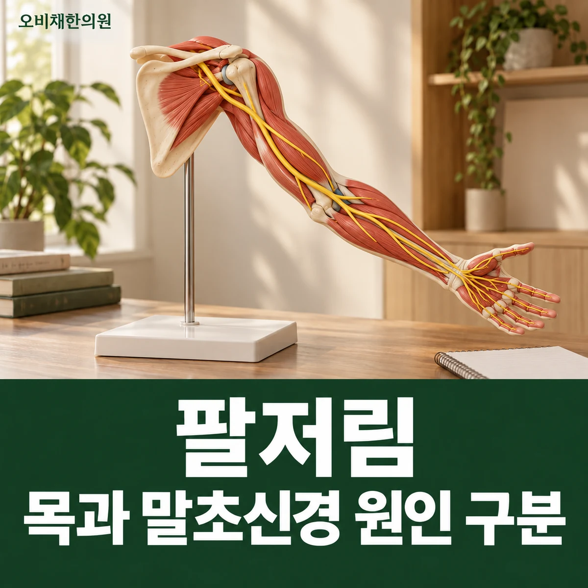 목동 팔저림 원인과 구분 · 목과 말초신경 원인 구분