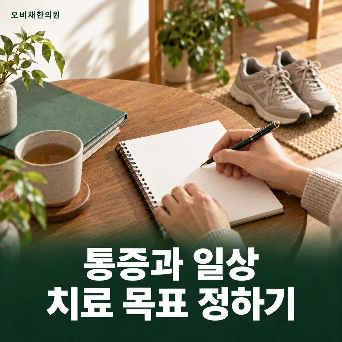 목동 허리디스크 치료·상담 · 통증과 일상 기능의 관리