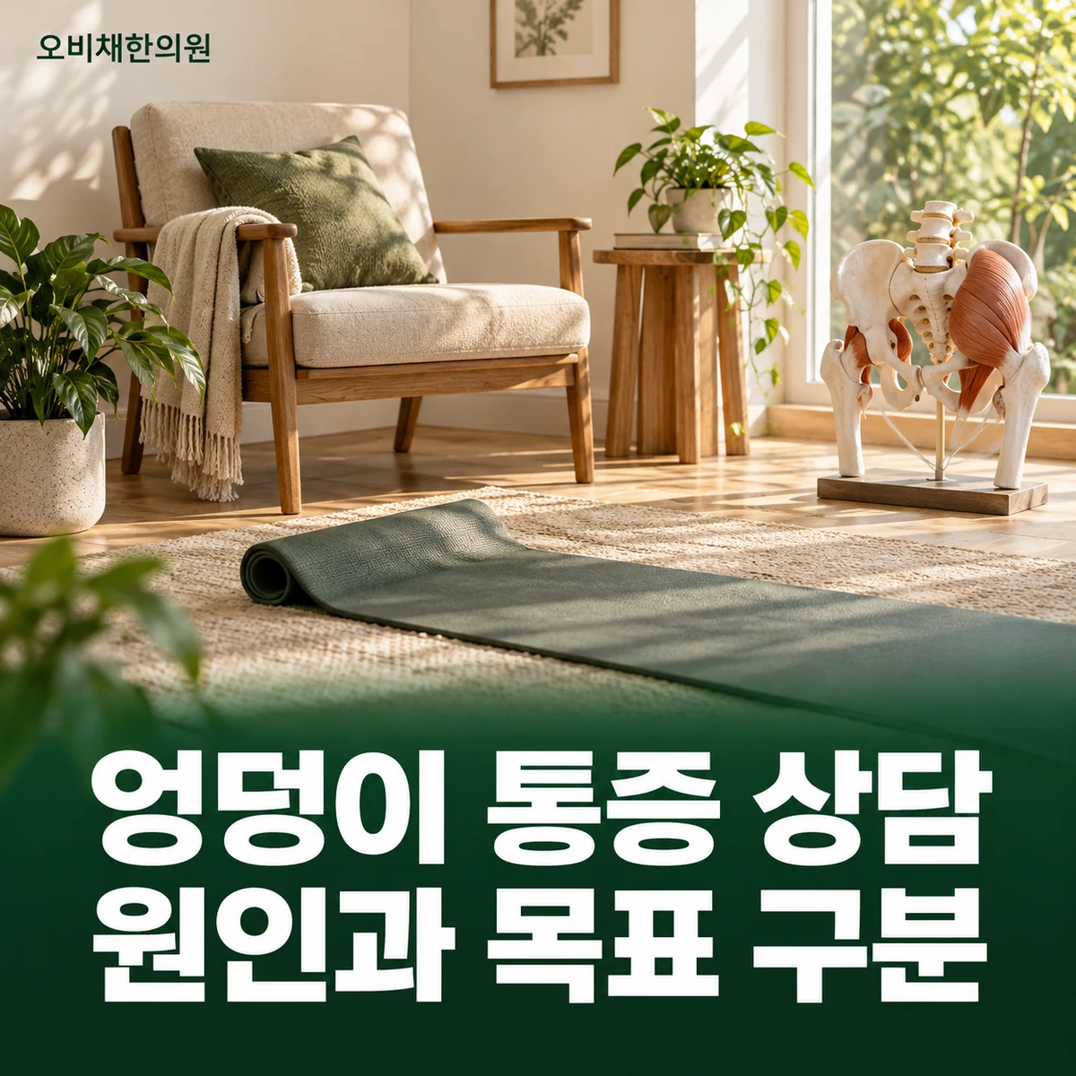 목동 엉덩이통증 치료·상담 · 원인별 목표와 상담