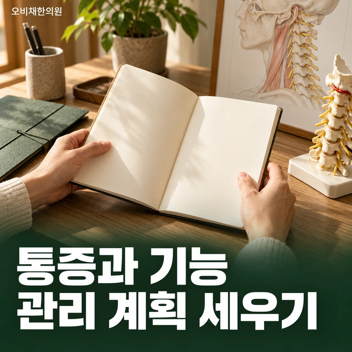 목동 경추성 팔통증 치료 상담 · 통증과 신경 기능을 함께 상담
