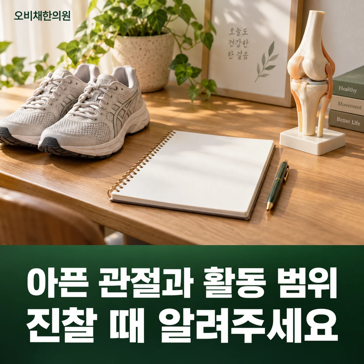 목동 퇴행성관절염 진찰·검사 · 아픈 관절과 활동 범위 · 진찰 때 알려주세요