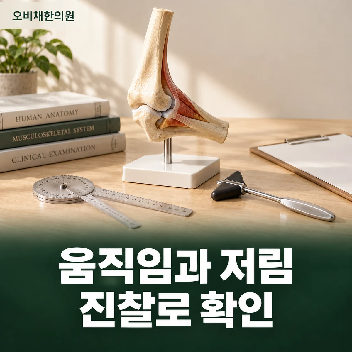 목동 팔꿈치통증 진찰·검사 · 압통·움직임과 저림 평가