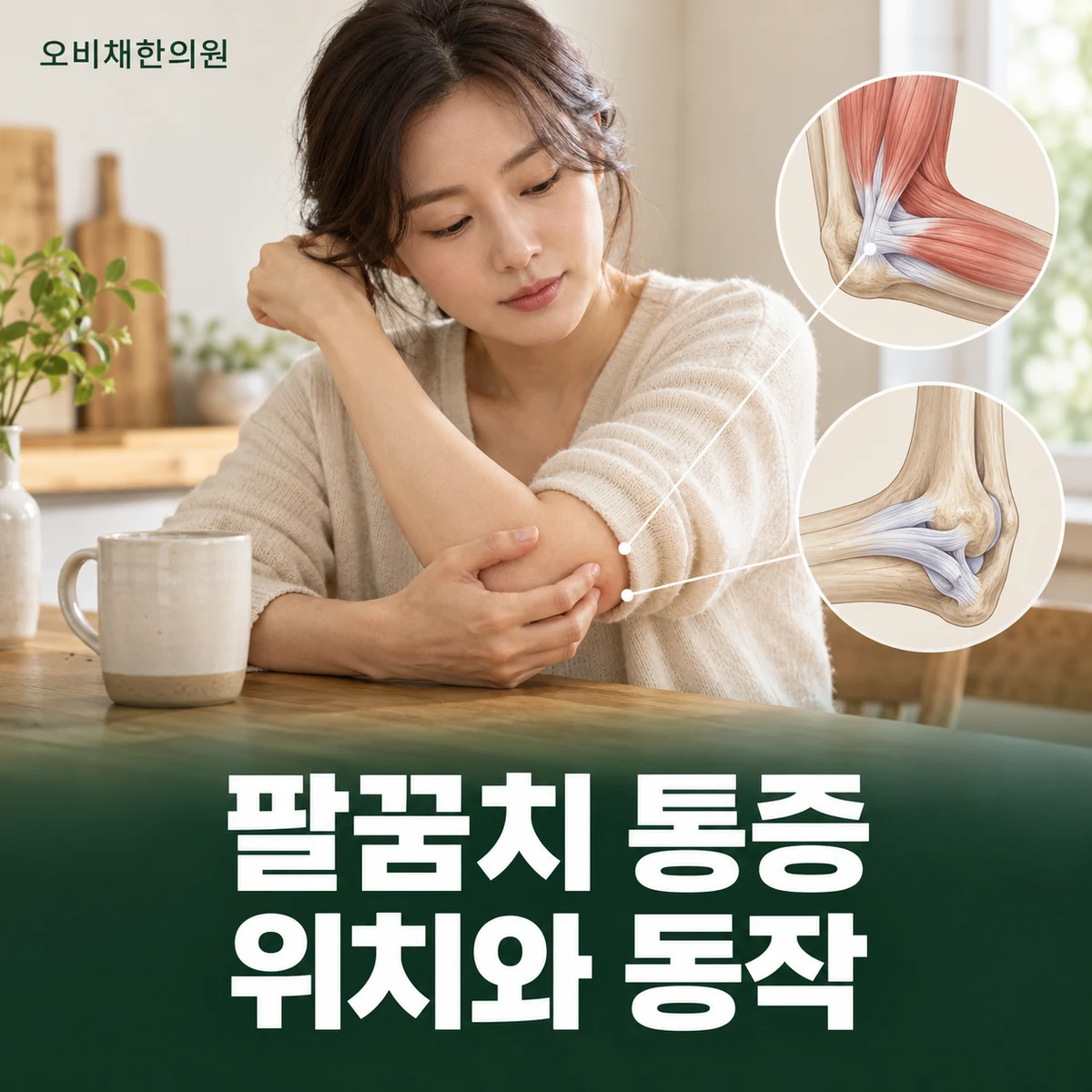 목동 팔꿈치통증 증상 · 위치와 동작에 따른 통증