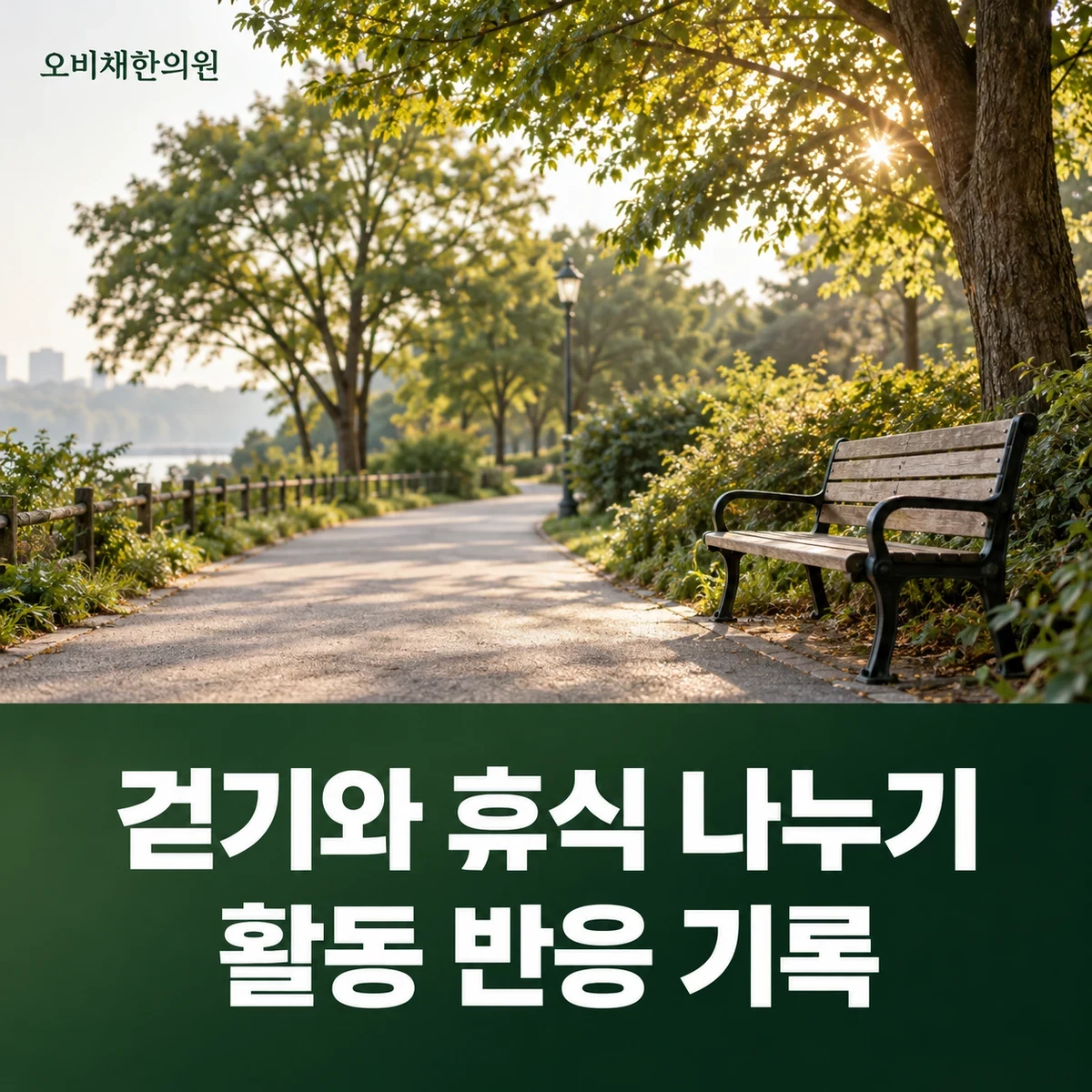 목동 대퇴신경통 생활관리 · 낙상 예방과 활동 기록