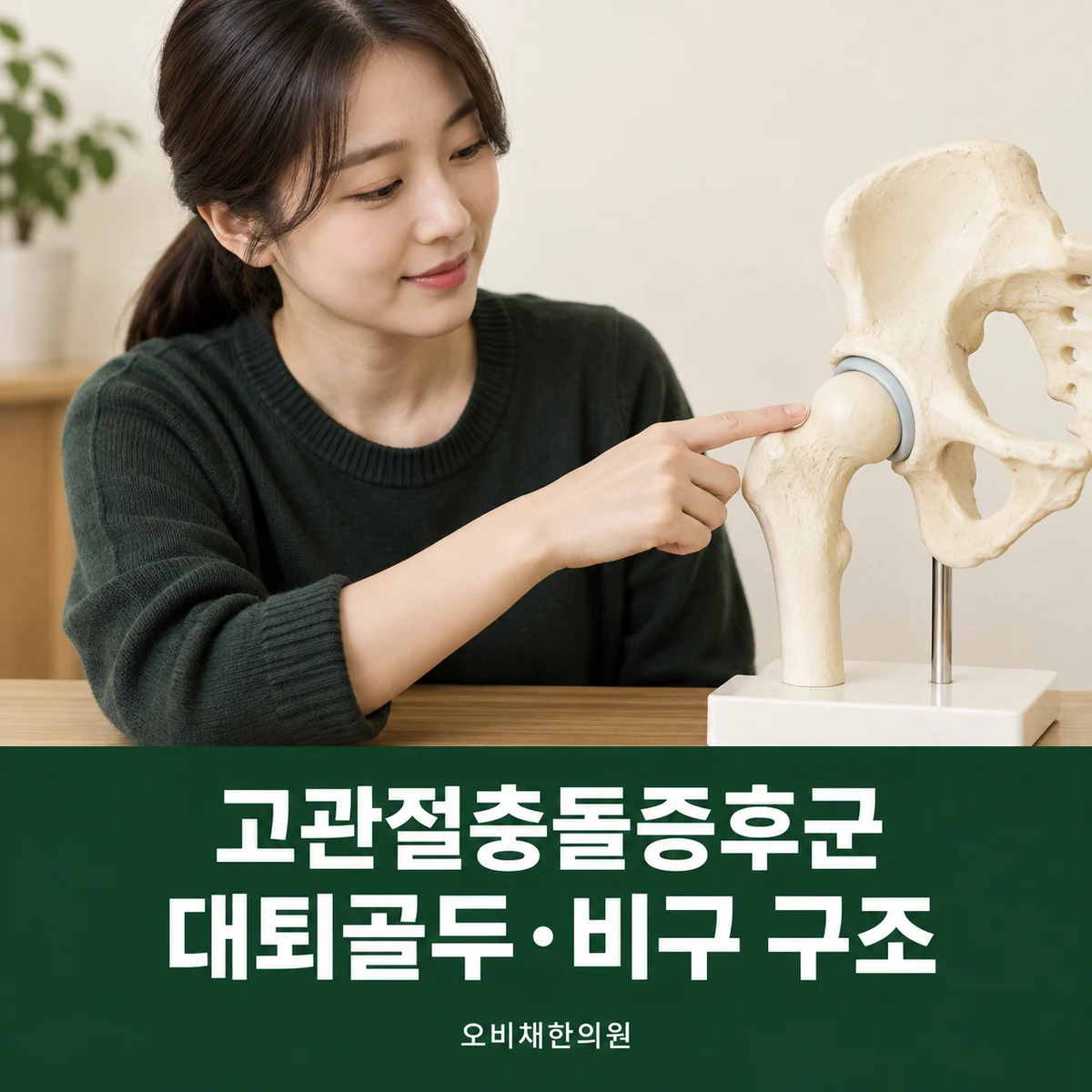 목동 고관절충돌증후군 원인과 구분 · 대퇴골두·비구 구조