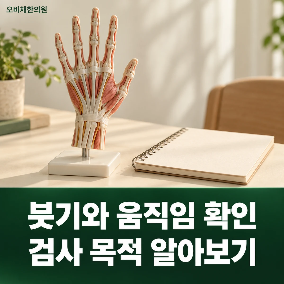목동 손가락관절통증 진찰·검사 · 붓기와 검사 판단