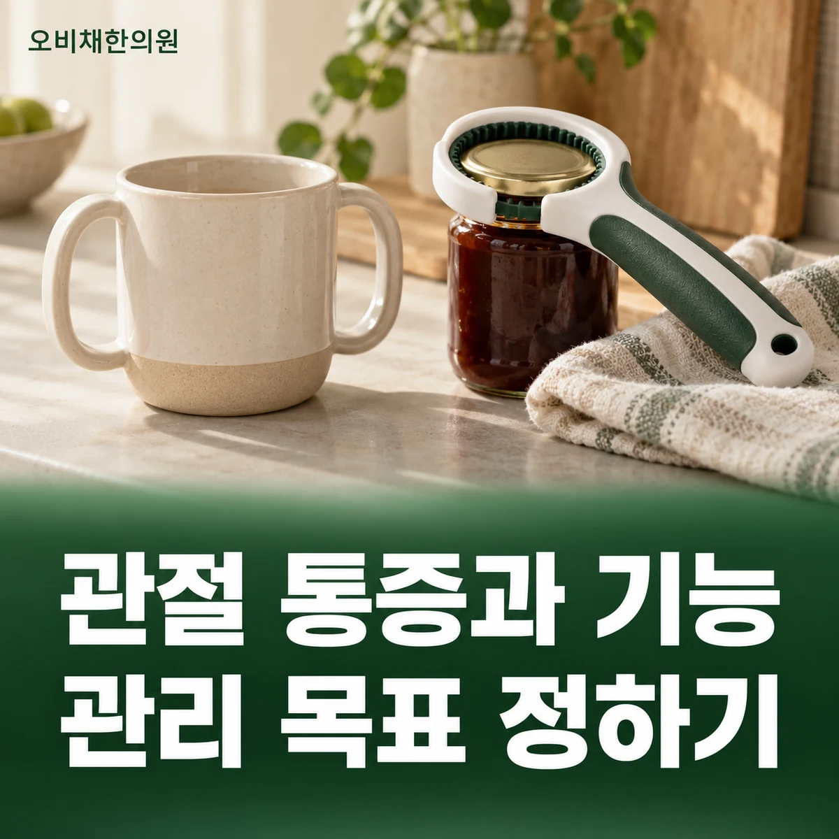 목동 손가락관절통증 치료·상담 · 관절 기능 관리