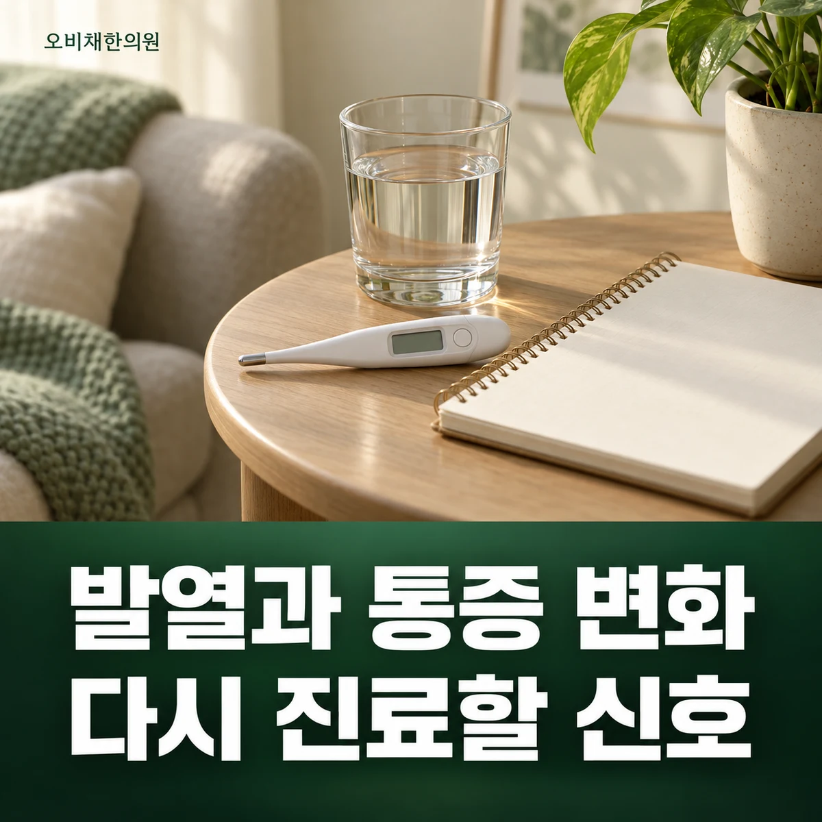 목동 옆구리통증 경과·재진 · 발열·통증 변화 재평가