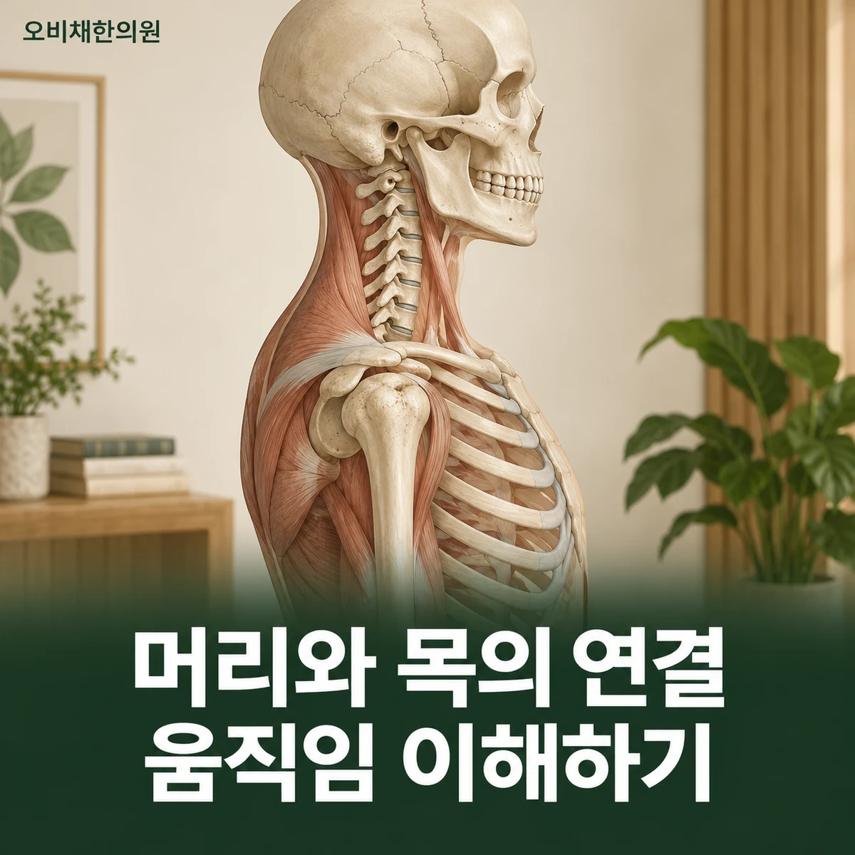 목동 거북목 원인과 구분 · 머리·목·가슴 연결