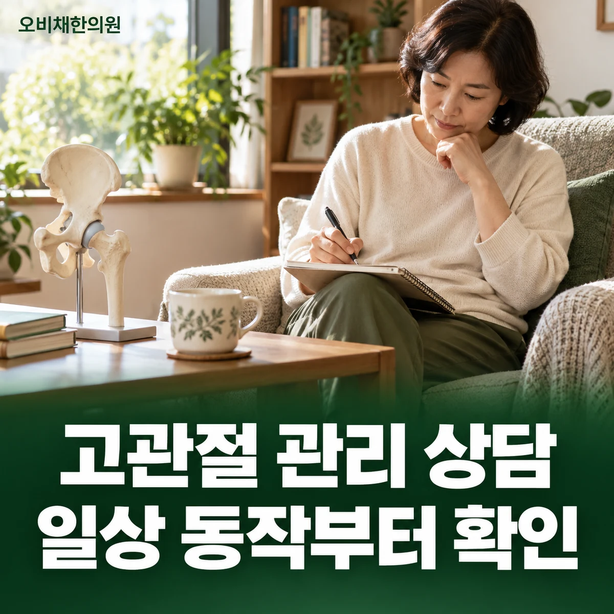 목동 고관절통증 치료·상담 · 기능 목표와 진료 상담