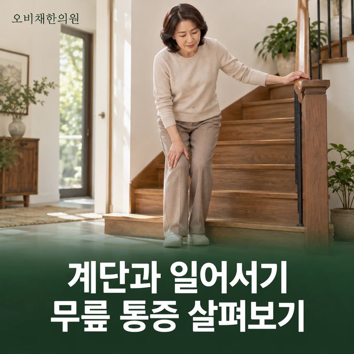 목동 무릎통증 증상 · 계단·걷기·일어서기