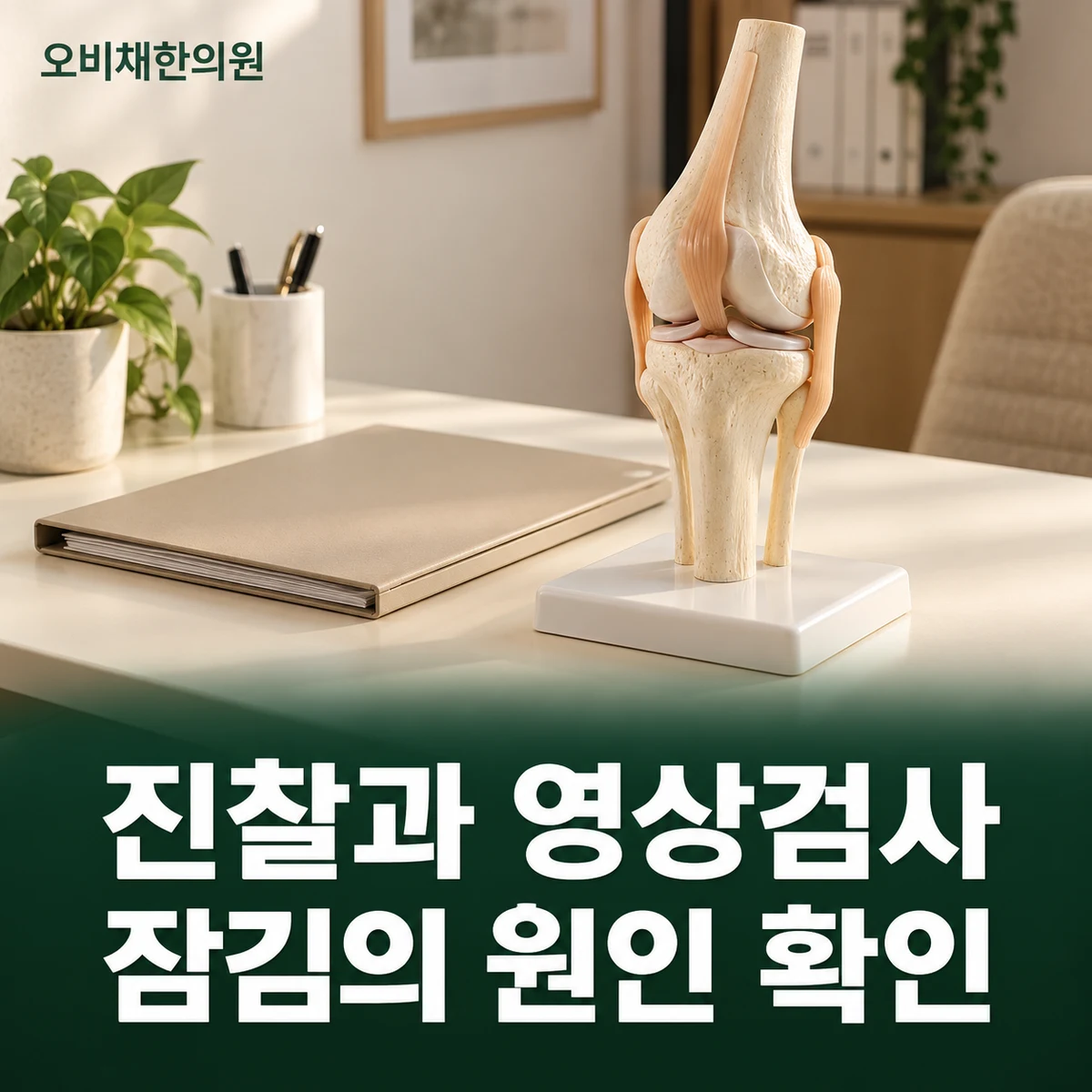 목동 반월상연골파열 진찰·검사 · 진찰과 영상 확인