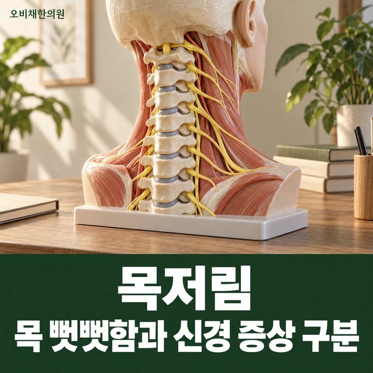 목동 목저림 원인과 구분 · 목 뻣뻣함과 신경 증상 구분