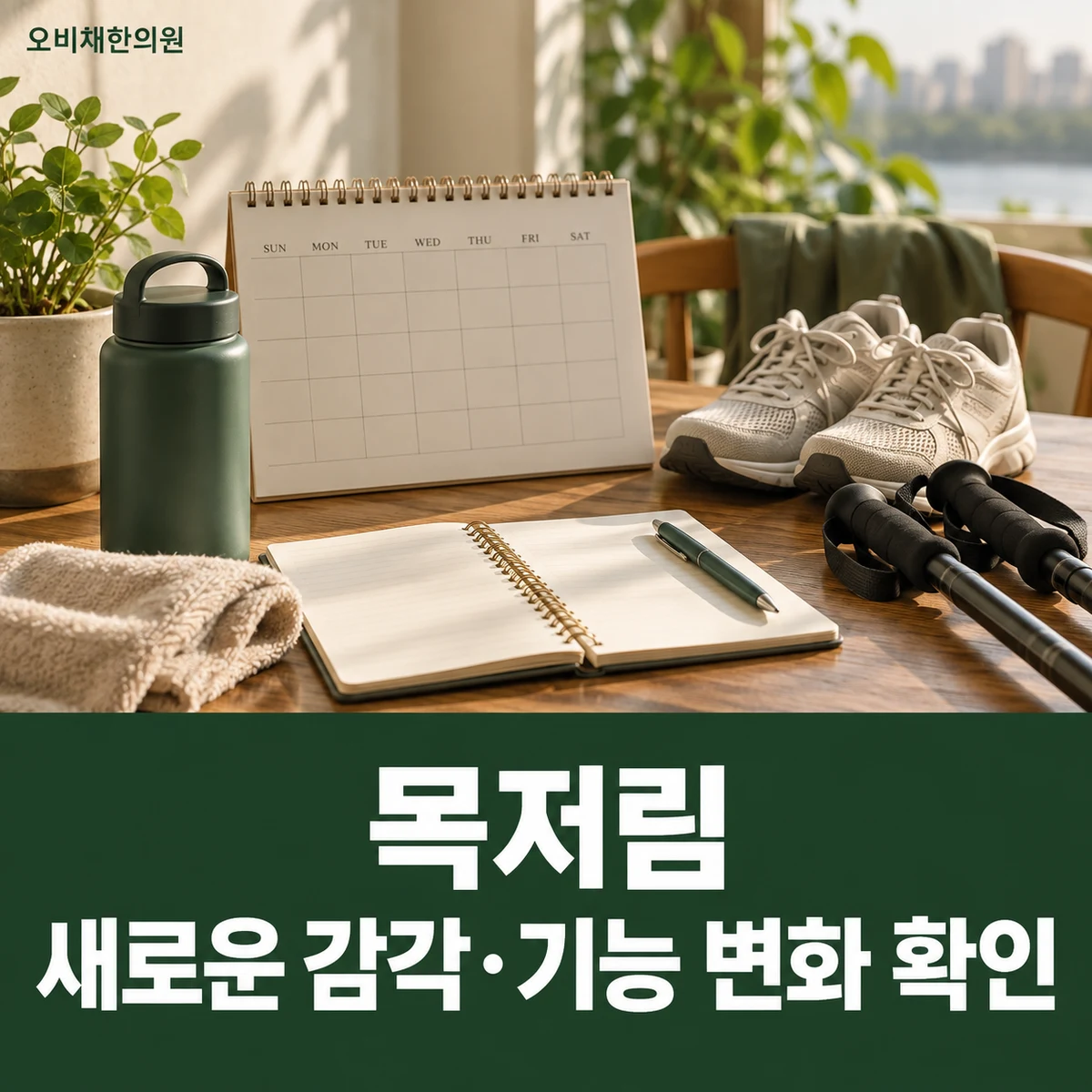 목동 목저림 경과·재진 · 새로운 감각·기능 변화 확인