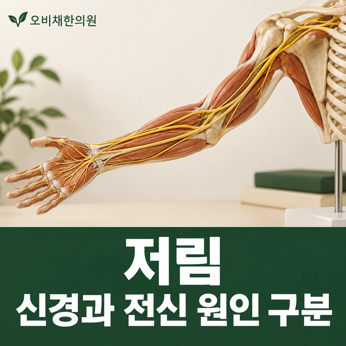 목동 저림 원인과 구분 · 신경과 전신 원인 구분