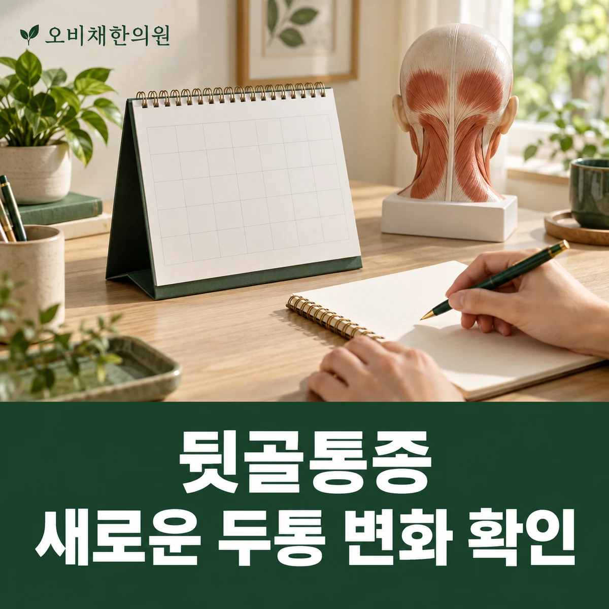 목동 뒷골통증 경과·재진 · 새로운 두통 변화 확인