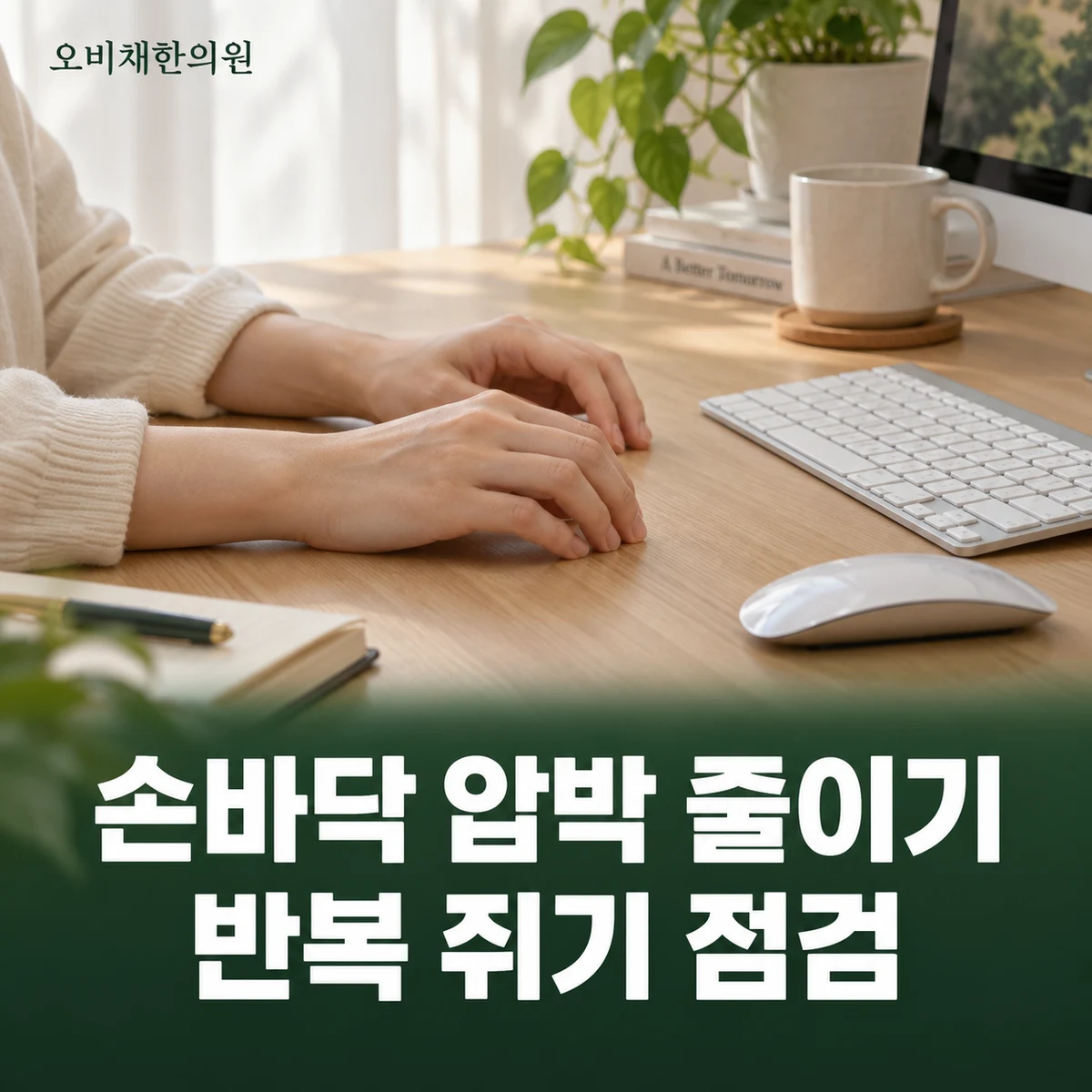 목동 손바닥통증 생활관리 · 압박과 반복 쥐기