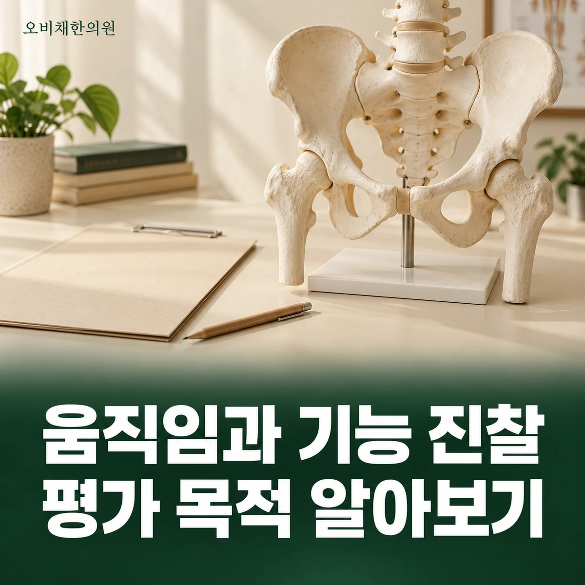목동 골반교정 진찰·검사 · 움직임과 기능 평가