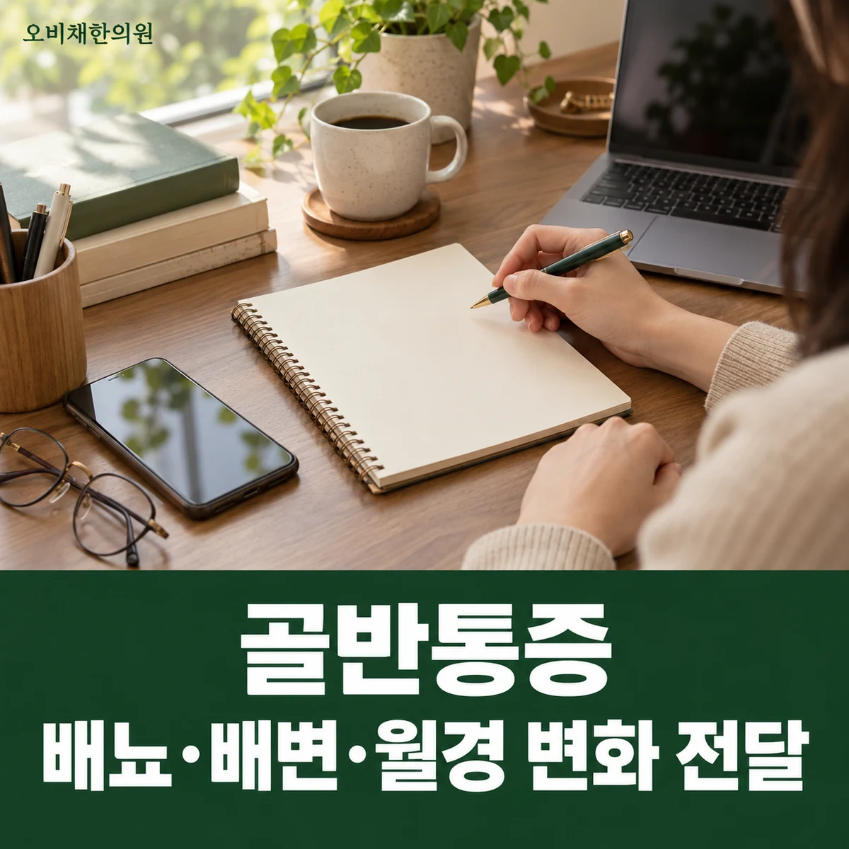 목동 골반통증 진찰·검사 · 배뇨·배변·월경 변화 전달
