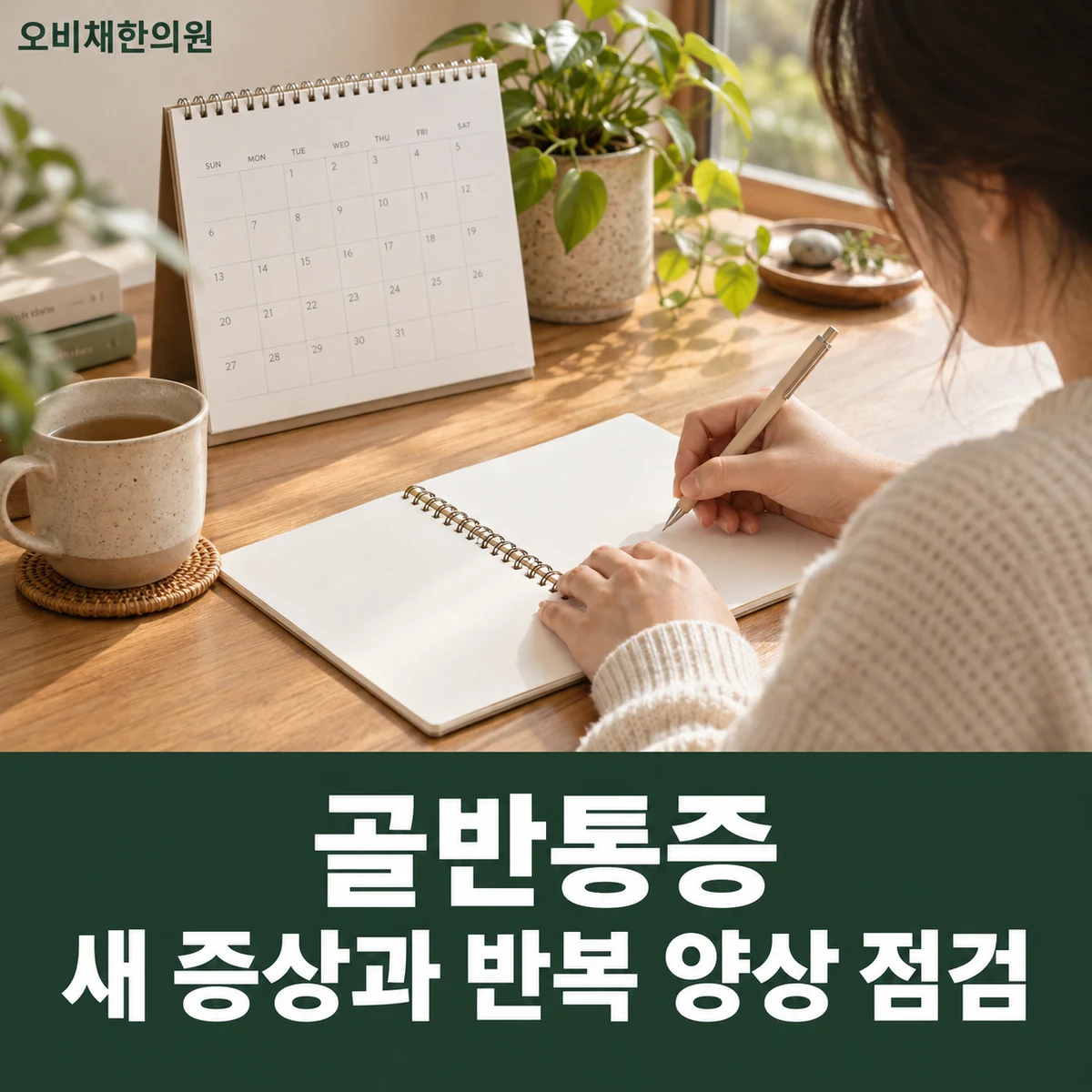 목동 골반통증 경과·재진 · 새 증상과 반복 양상 점검