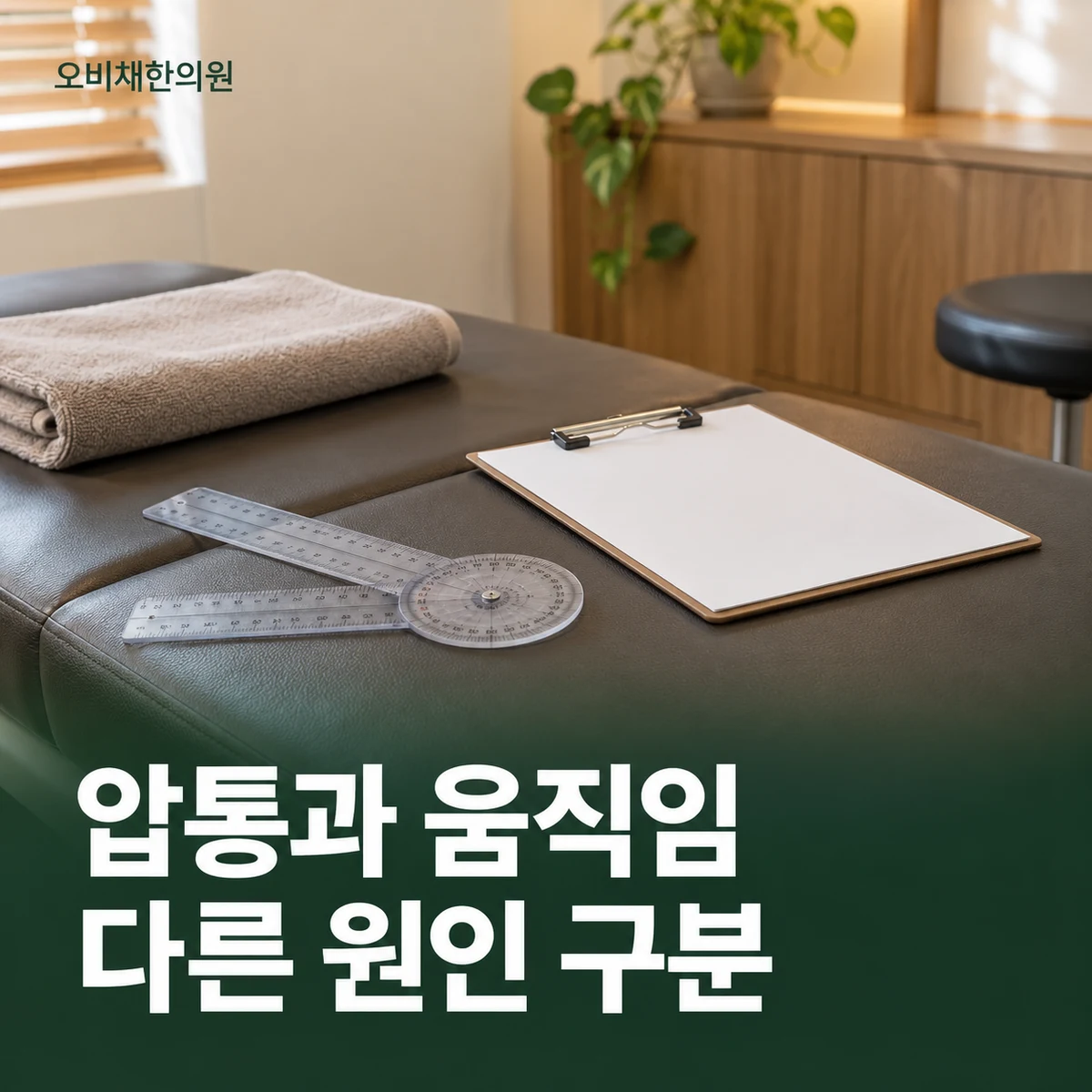 목동 거위발건염 진찰·검사 · 다른 무릎 문제 감별