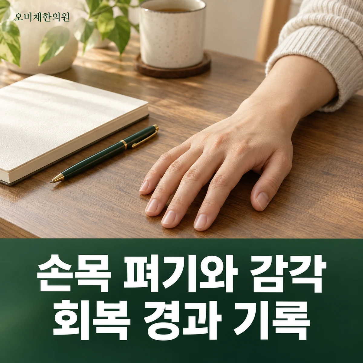 목동 요골신경마비 경과·재진 · 펴기 기능과 재진