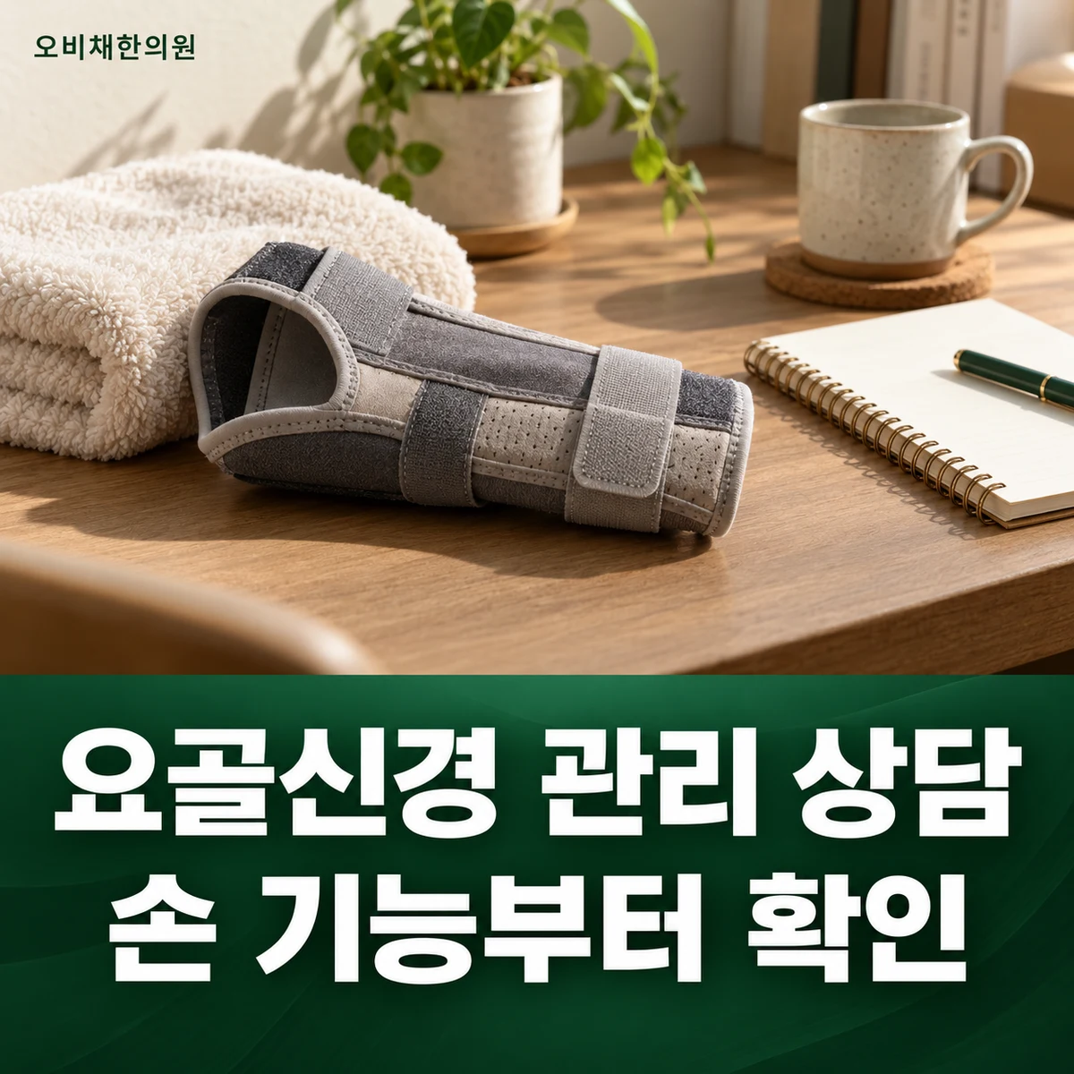 목동 요골신경마비 치료·상담 · 압박·손상별 관리