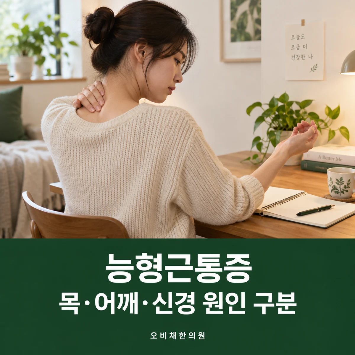 목동 능형근통증 진찰·검사 · 목·어깨·신경 원인 구분