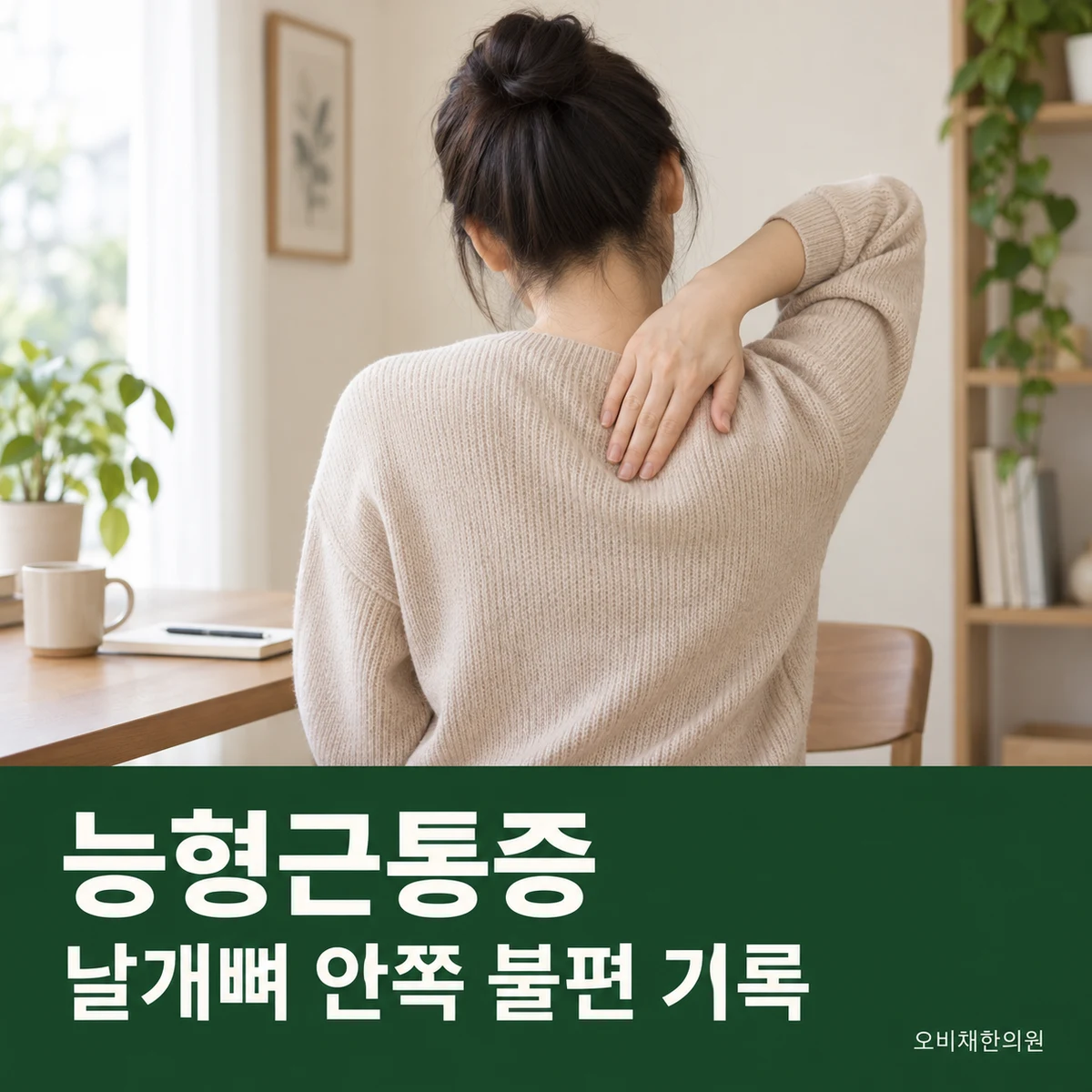 목동 능형근통증 증상 · 날개뼈 안쪽 불편 기록