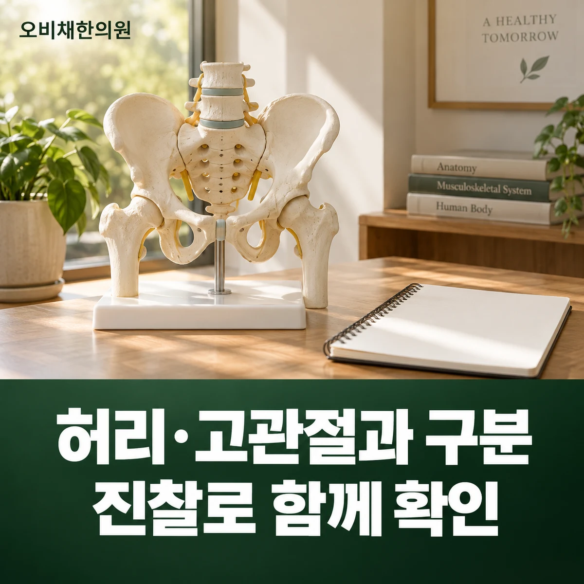 목동 천장관절증후군 진찰·검사 · 허리·고관절과 구분 · 진찰로 함께 확인