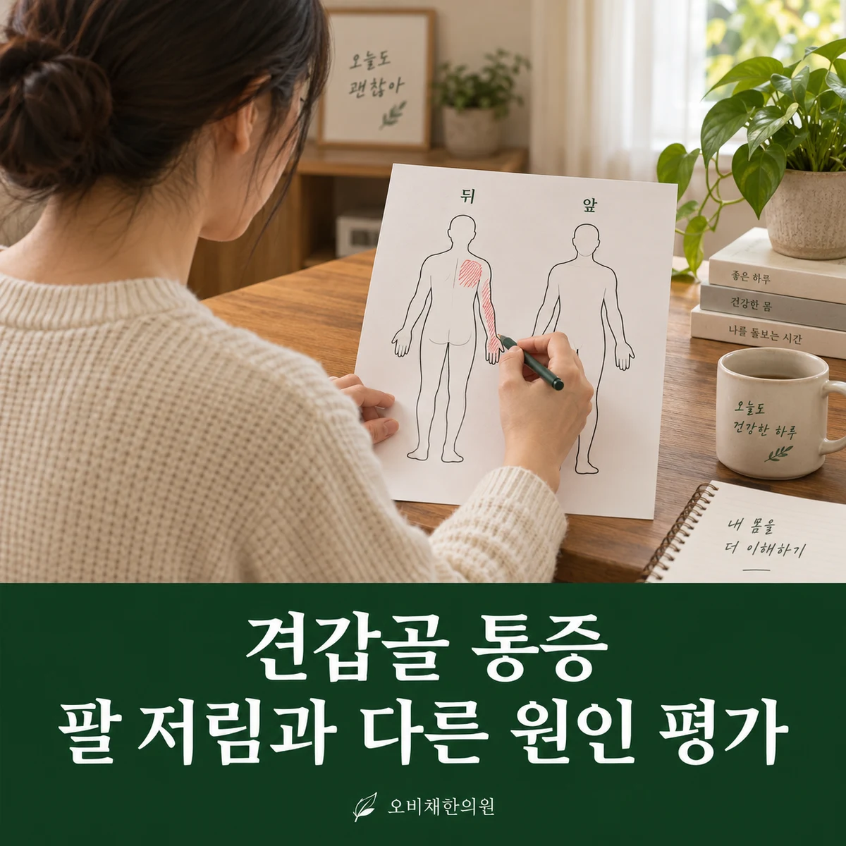 목동 견갑골 통증 진찰·검사 · 팔 저림과 다른 원인 평가