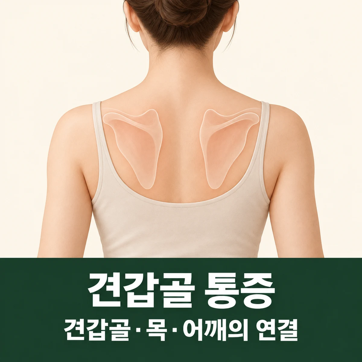 목동 견갑골 통증 원인과 구분 · 견갑골·목·어깨의 연결